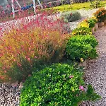 Valeo Holiday home Labin (Istria)